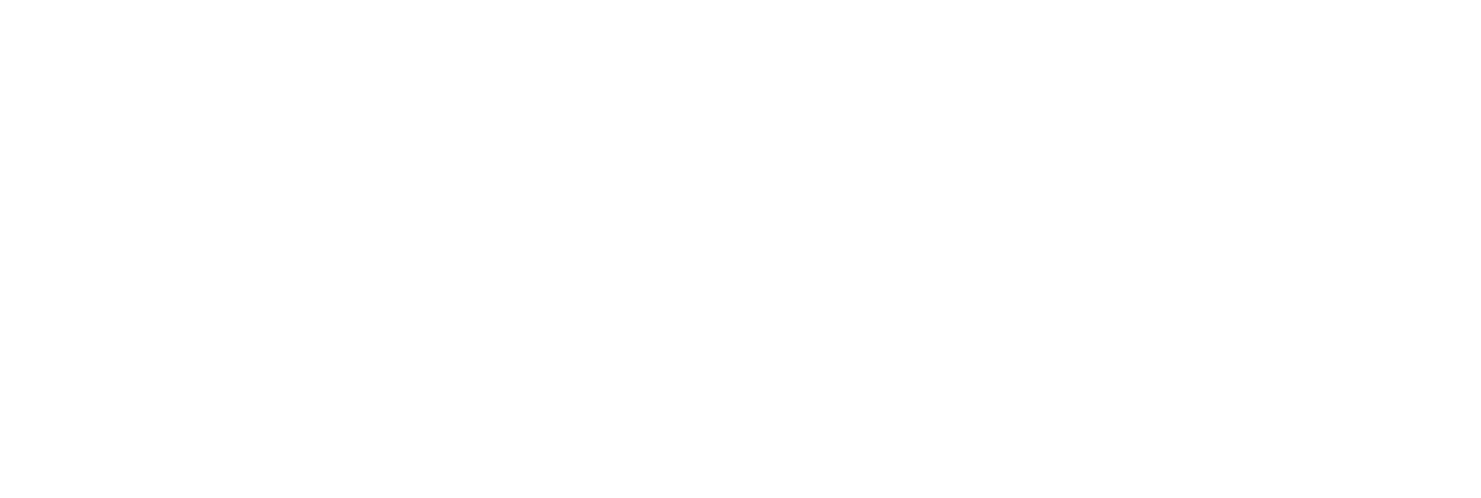 Twin logo