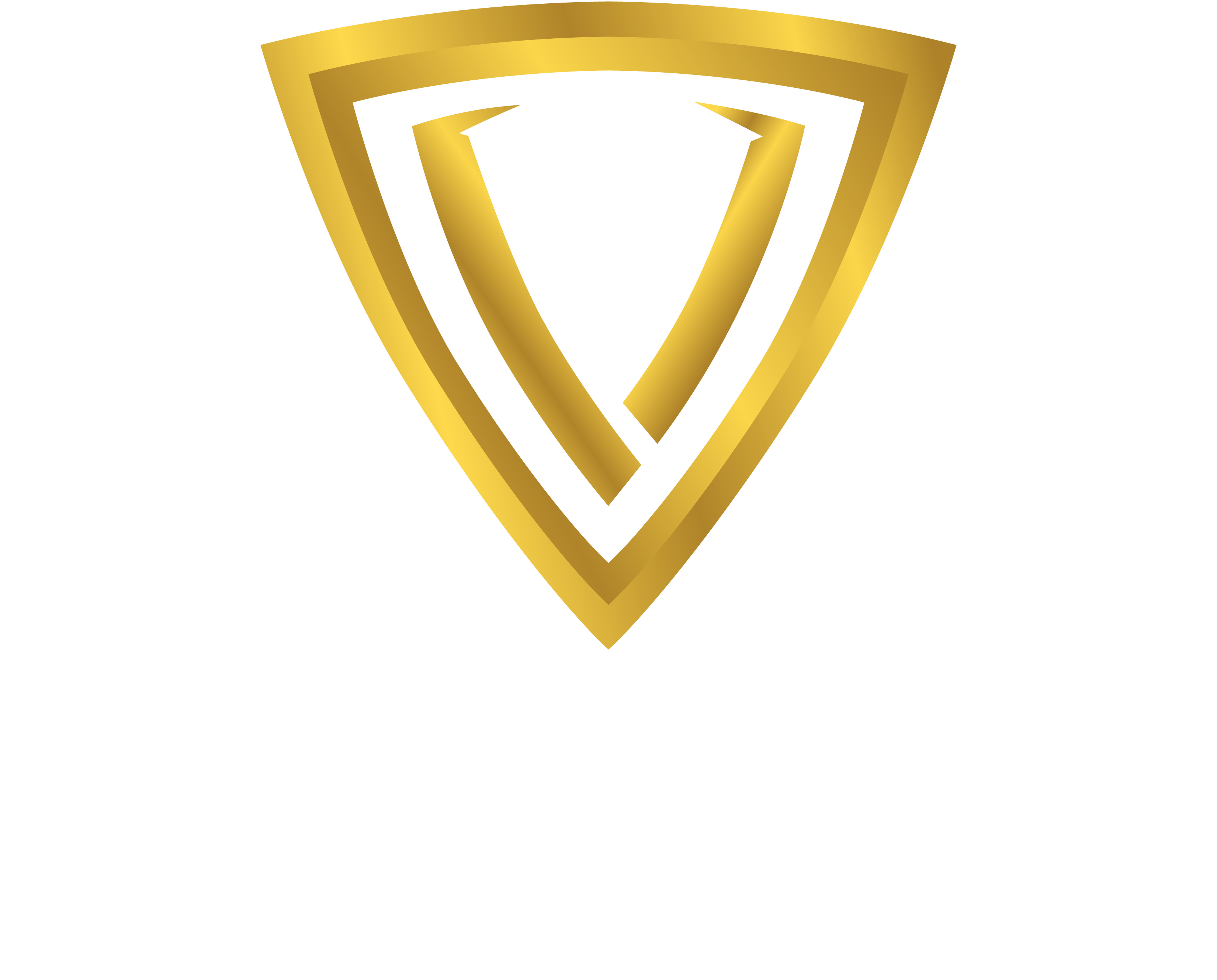 VegaSoo logo